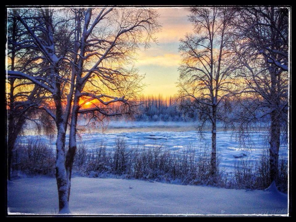 Susitna River Lodging, Riverside Cabins Talkeetna Exterior foto